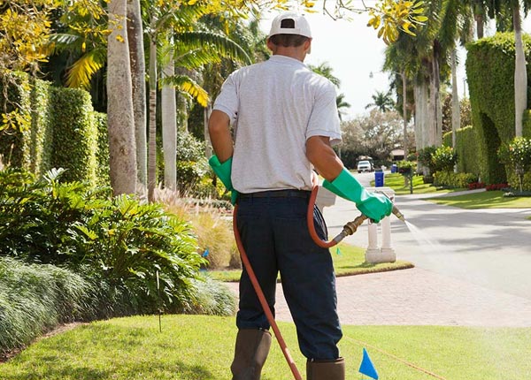 About Bybee TN Pest Control Pros